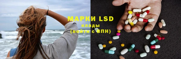 PSILOCYBIN Алексеевка
