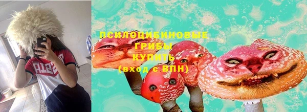 гидра Алзамай